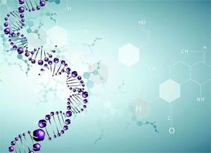 哥大生物碩博學姐全面系統(tǒng)介紹生科,生物技術(shù),生統(tǒng)申請及發(fā)展路徑