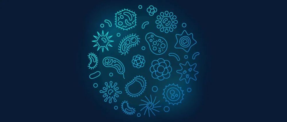 【Nature子刊】通過微生物組組成更準(zhǔn)確地識別結(jié)直腸癌