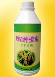 廣州以諾生物科技推出‘em種植寶’水稻專用產(chǎn)品，助力綠色農(nóng)業(yè)發(fā)展