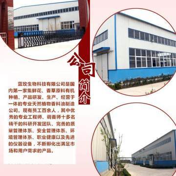 天竺葵純露 深層凈化肌膚，煥活水潤光彩——藍玫丫廠家直銷美容院裝專業解析